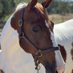 Stacy Spector - @spectorstacy - Instagram