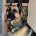 Stacey Bennett Stamper - @stacey.stamper.5245 - Instagram