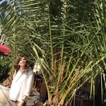 stacy steinberg - @ssteinbergszfunc - Instagram
