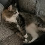 Stacey Sterling - @shoobie_28 - Instagram