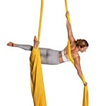 Stacey Sterling - @stacey.joy.aerialist - Instagram