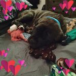 Stacey Ray - @staceystrain1030 - Instagram