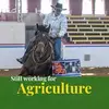 Stacy Strange - @shiningsranch - TikTok