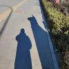 staceystratman - @staceystratman - TikTok