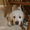 Stacy Stearman - @stacy.stearman - TikTok