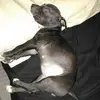 staceystratton106 - @staceystratton106 - TikTok