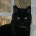 Stacy Stratton - Facebook