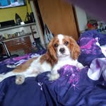 stacey  styles - @staceystyles3 - Instagram