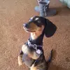 Stacy Talbot - @stacy.talbot - TikTok