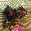 Stacey Tanner252 - @staceytanner252 - TikTok