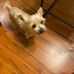 Stacy Thames - Facebook
