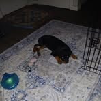 Stacey Tompkins - Facebook