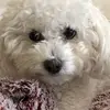 Stacy Tompkins - @stacytompkins1 - TikTok