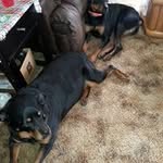 Stacey Osthoff-Trowbridge - @osthofftrowbridge - Instagram