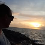 Stacey Dowie - Vos - @staceymaydowie - Instagram