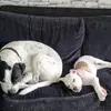 mrswaitey - @staceywaite1 - TikTok