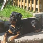 Stacey Waite - @stacey.waite.5 - Instagram