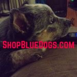 Stacey Wallis - @shopbluedogs - Instagram