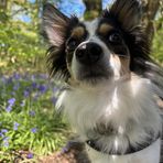 Stacey Wallis - Facebook