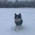 Stacey Wallis - @staceywallis57 - Instagram