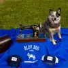 Staceywallis - @bluedogcollars - TikTok