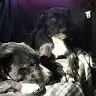 Stacey Waring - @user366467852 - TikTok