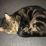 Stacey Weeks - @stacey_srd - Instagram