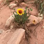 Stacey Weeks - @staceylweeks - Instagram