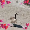 staceywesley348 - @staceywesley22 - TikTok