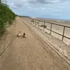 stacey_whitmore - @stacey_whitmore - TikTok