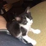 Stacey Wilkinson - @stacey.wilkinson.9638 - Instagram