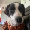 Stacey Willis - @stacey.willis8 - TikTok