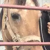 Stacey Willis - @stacey.willis3 - TikTok