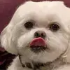staceywink - @staceywink - TikTok