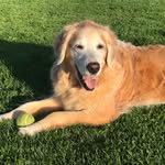 Stacey Wu - @mojumbo99 - Instagram