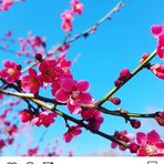 Stacey Wu - Facebook