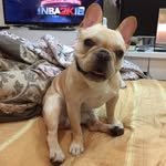 Stacey Wu - @stacyvi15 - Instagram