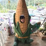 Stacey Yeoh - @stacey_yeoh - Instagram