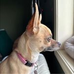 Stacey Yoder - @slyzooart - Instagram