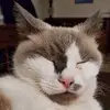 stacicox4 - @staci6586 - TikTok