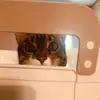 stacy erwin706 - @stacyerwin - TikTok