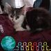 Stacey Foley - Facebook