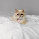 Staci Fuller - @stacface0 - Instagram