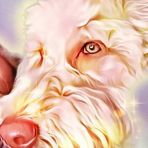 Staci Hall - Facebook