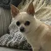 Stacy Hall - @stacy.hall5 - TikTok