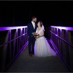 Staci Harper - @stacibain - Instagram