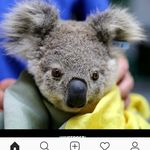 Stacy Hogan - @sjhogan34 - Instagram