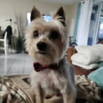Staci Kessler Lang - @stacilang143 - Instagram