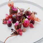 Staci Lang - @astaci_lang - Instagram