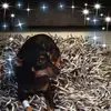 Stacey Lightfoot - @staceylightfoot011080 - TikTok